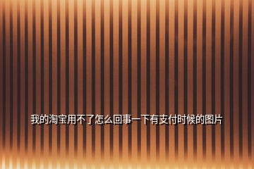 我的淘宝用不了怎么回事一下有支付时候的图片