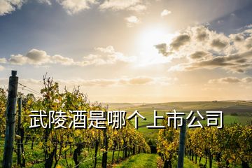 武陵酒是哪个上市公司