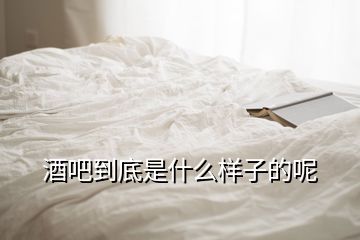 酒吧到底是什么样子的呢