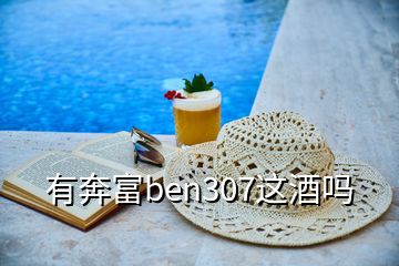 有奔富ben307这酒吗