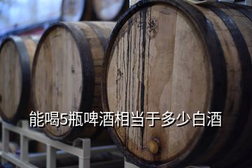 能喝5瓶啤酒相当于多少白酒