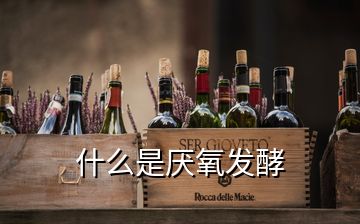 什么是厌氧发酵