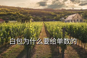 白包为什么要给单数的