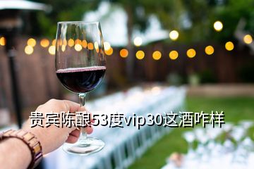 贵宾陈酿53度vip30这酒咋样