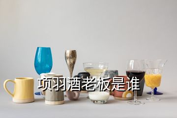 项羽酒老板是谁