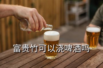 富贵竹可以浇啤酒吗