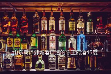 山东菏泽鄄城酒厂造的陈王府酒45度