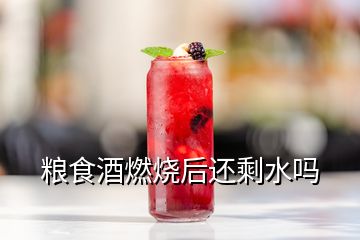 粮食酒燃烧后还剩水吗