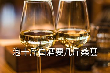 泡十斤白酒要几斤桑葚