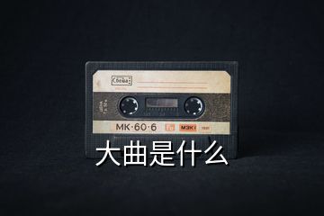 大曲是什么