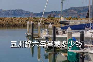 五洲醉六年窖藏多少钱