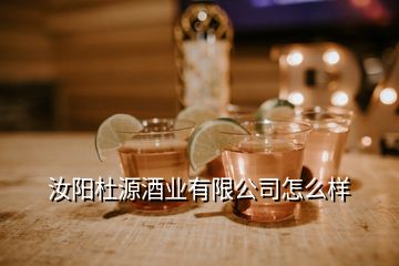 汝阳杜源酒业有限公司怎么样