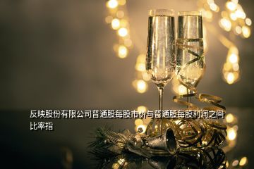 反映股份有限公司普通股每股市价与普通股每股利润之间比率指