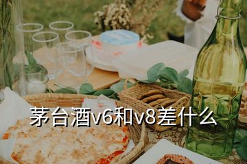 茅台酒v6和v8差什么