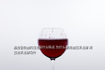 酱香型白酒的窖池有什么特点 为什么要用酒窖来发酵 用窖池来发酵有什