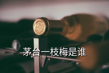 茅台一枝梅是谁