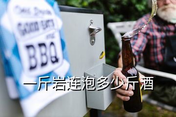 一斤岩连泡多少斤酒