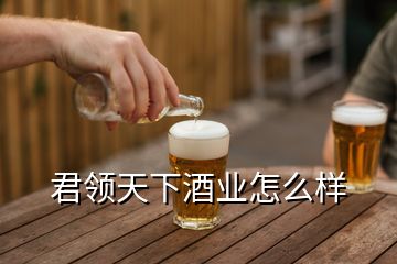 君领天下酒业怎么样