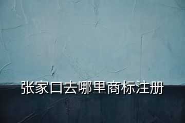 张家口去哪里商标注册