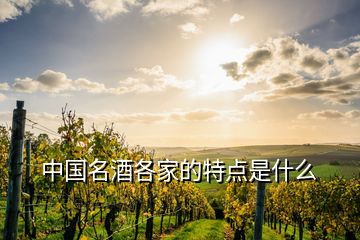 中国名酒各家的特点是什么