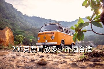 200克鹿茸放多少斤酒合适