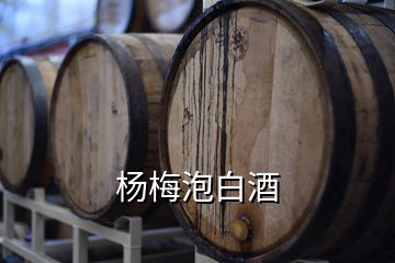 杨梅泡白酒