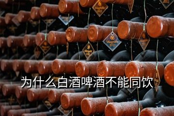 为什么白酒啤酒不能同饮