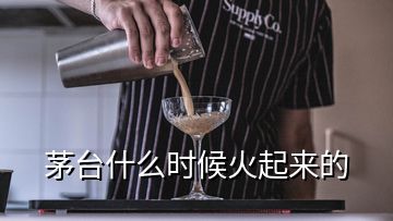 茅台什么时候火起来的