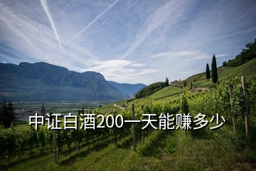 中证白酒200一天能赚多少