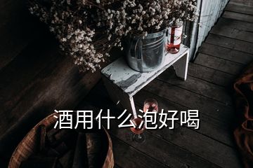 酒用什么泡好喝