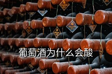 葡萄酒为什么会酸