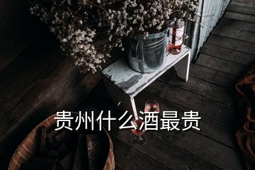 贵州什么酒最贵