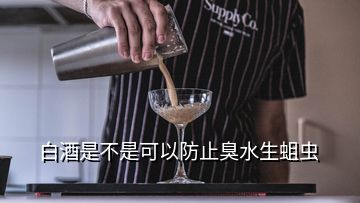 白酒是不是可以防止臭水生蛆虫