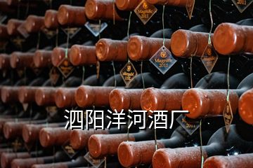 泗阳洋河酒厂