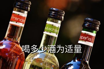 喝多少酒为适量