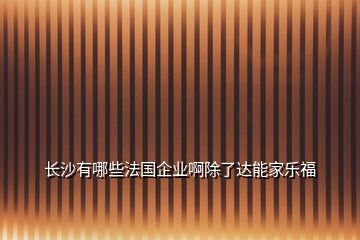 长沙有哪些法国企业啊除了达能家乐福