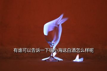 有谁可以告诉一下嗨小海这白酒怎么样呢