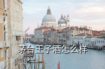 茅台王子酒怎么样