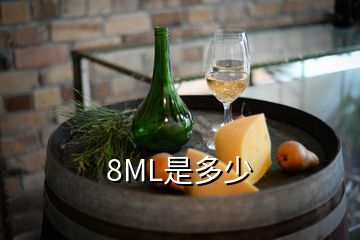 8ML是多少