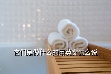 它们是做什么的用英文怎么说