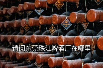 请问东莞珠江啤酒厂在哪里