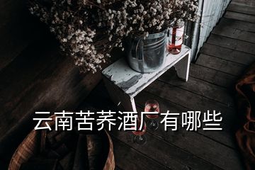 云南苦荞酒厂有哪些