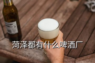 菏泽都有什么啤酒厂