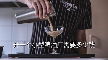 开一个小型啤酒厂需要多少钱