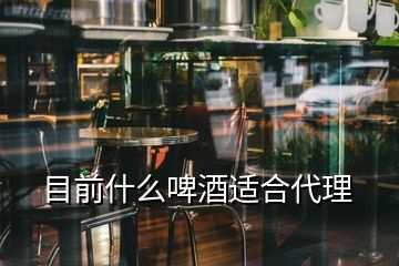 目前什么啤酒适合代理