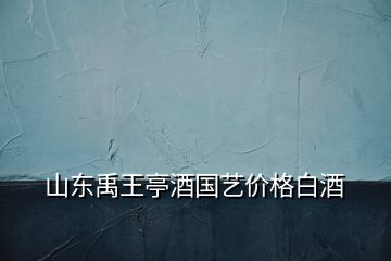 山东禹王亭酒国艺价格白酒