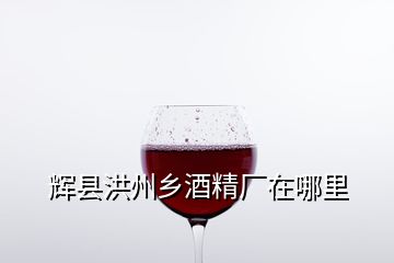 辉县洪州乡酒精厂在哪里