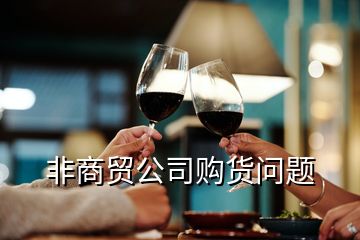 非商贸公司购货问题