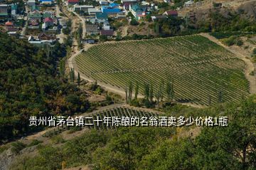 贵州省茅台镇二十年陈酿的名翁酒卖多少价格1瓶