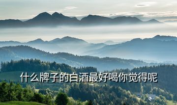 什么牌子的白酒最好喝你觉得呢